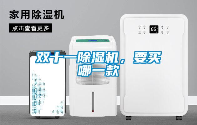 欧美黄色性爱视频网站 双十一除湿机，要买哪一款