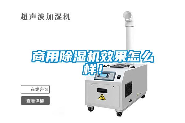 欧美成色手机在线观看 商用除湿机效果怎么样！