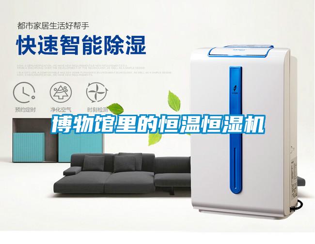 欧美黄色性爱视频网站 博物馆里的恒温恒湿机