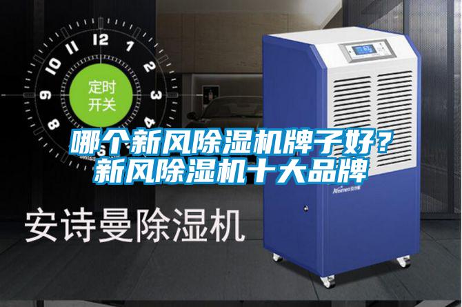 欧美成色手机在线观看 哪个新风除湿机牌子好？新风除湿机十大品牌