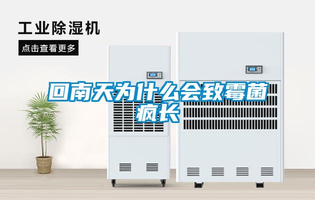 欧美黄色电影在线播放 回南天为什么会致霉菌疯长