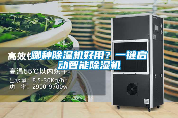 欧美黄色电影在线播放 哪种除湿机好用？一键启动智能除湿机