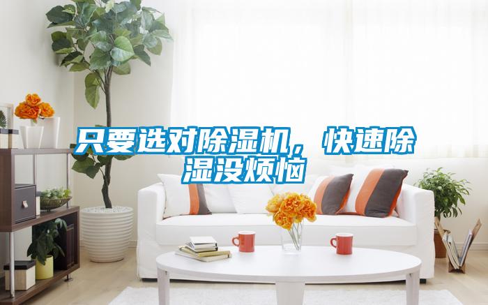 欧美黄色电影在线播放 只要选对除湿机，快速除湿没烦恼