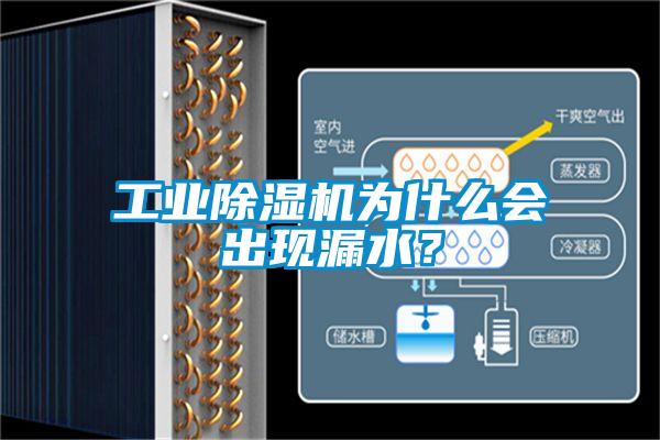 欧美成色手机在线观看 工业除湿机为什么会出现漏水？