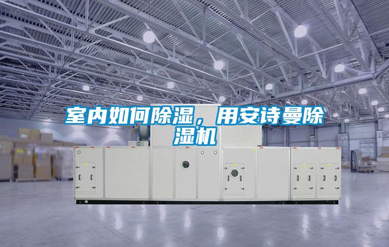 欧美黄色性爱视频网站 室内如何除湿，用安诗曼除湿机