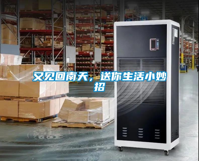 欧美成色手机在线观看 又见回南天，送你生活小妙招