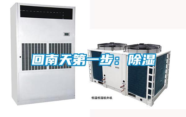 欧美黄色电影在线播放 回南天第一步：除湿