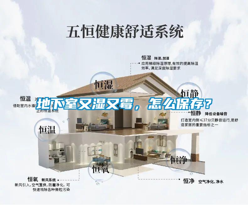 欧美黄色性爱视频网站 地下室又湿又霉，怎么保存？