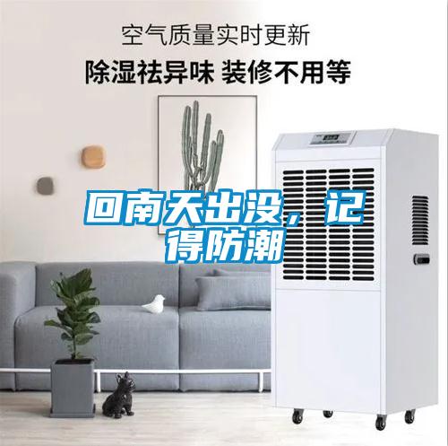 欧美黄色性爱视频网站 回南天出没，记得防潮