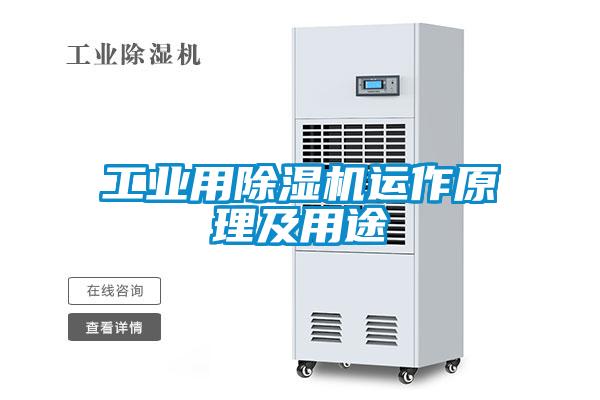 欧美黄色电影在线播放 工业用除湿机运作原理及用途