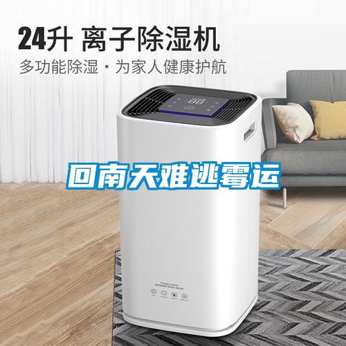 欧美黄色性爱视频网站 回南天难逃霉运