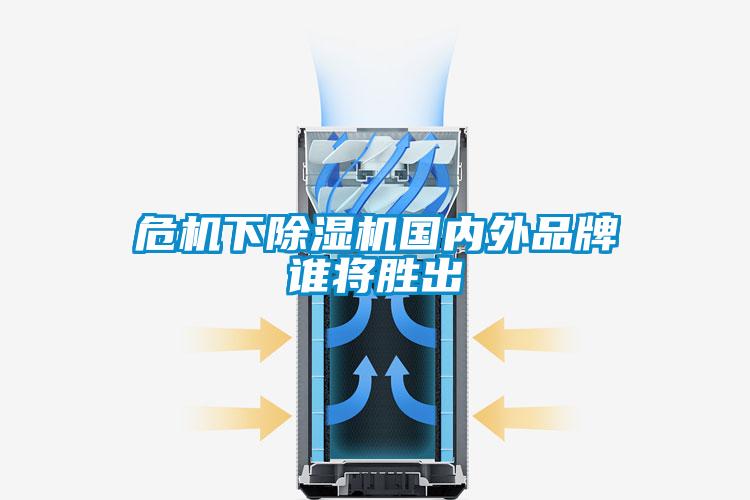 欧美成色手机在线观看 危机下除湿机国内外品牌谁将胜出