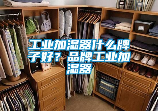 欧美黄色性爱视频网站 工业加湿器什么牌子好？品牌工业加湿器