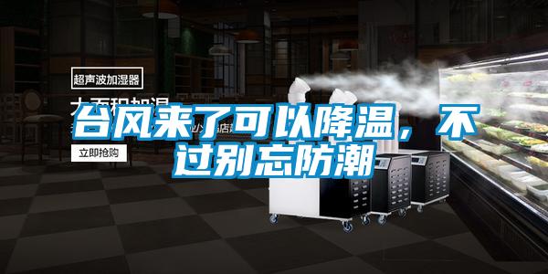 欧美成色手机在线观看 台风来了可以降温，不过别忘防潮