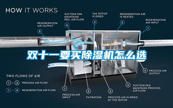 欧美黄色电影在线播放 双十一要买除湿机怎么选