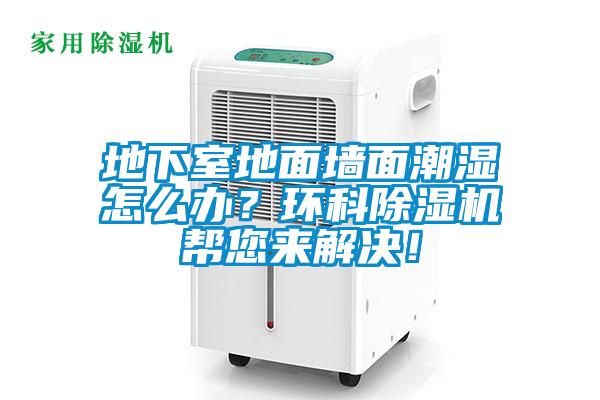 欧美黄色电影在线播放 地下室地面墙面潮湿怎么办？环科除湿机帮您来解决！