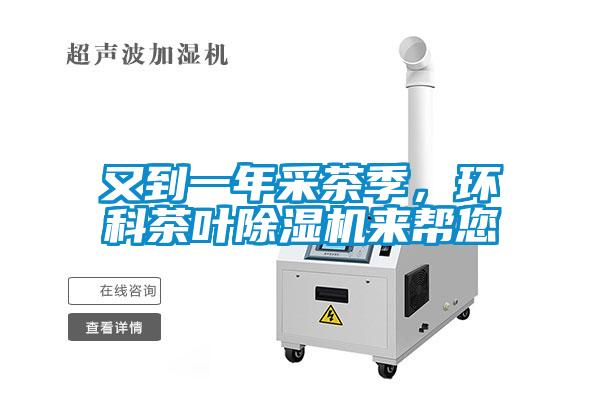 欧美成色手机在线观看 又到一年采茶季，环科茶叶除湿机来帮您