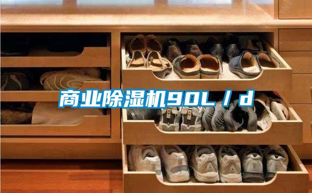 欧美黄色性爱视频网站 商业除湿机90L／d