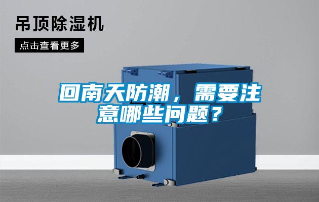 欧美成色手机在线观看 回南天防潮，需要注意哪些问题？
