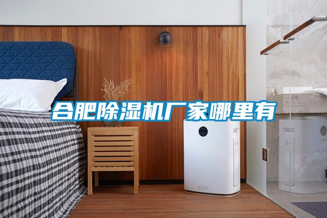 欧美黄色电影在线播放 合肥除湿机厂家哪里有