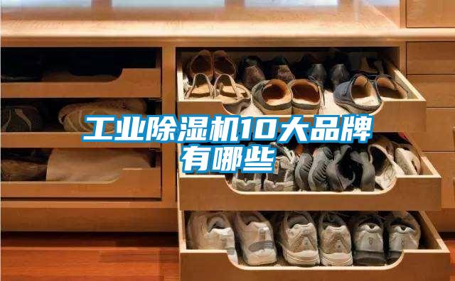 欧美成色手机在线观看 工业除湿机10大品牌有哪些