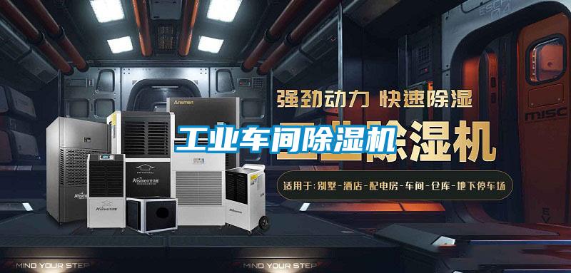 欧美成色手机在线观看 工业车间除湿机