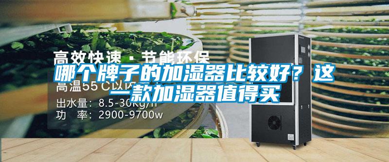 欧美成色手机在线观看 哪个牌子的加湿器比较好？这一款加湿器值得买