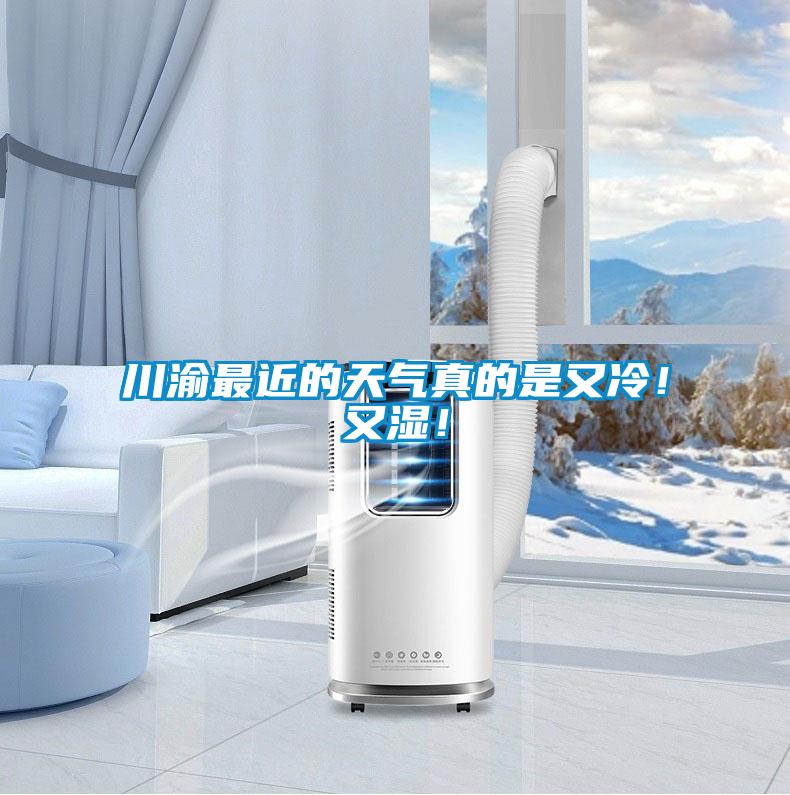 欧美成色手机在线观看 川渝最近的天气真的是又冷！又湿！