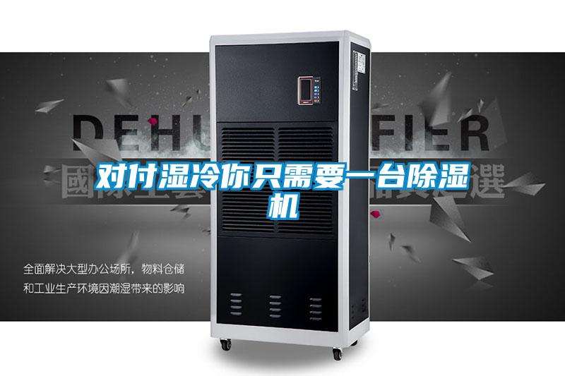 欧美成色手机在线观看 对付湿冷你只需要一台除湿机