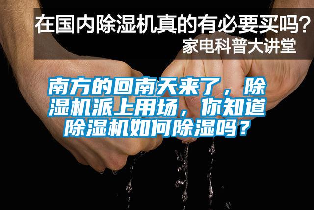 欧美成色手机在线观看 南方的回南天来了，除湿机派上用场，你知道除湿机如何除湿吗？