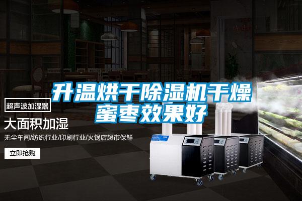欧美成色手机在线观看 升温烘干除湿机干燥蜜枣效果好