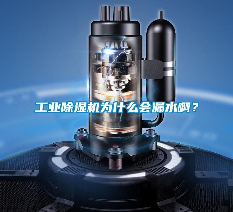 欧美黄色性爱视频网站 工业除湿机为什么会漏水啊？