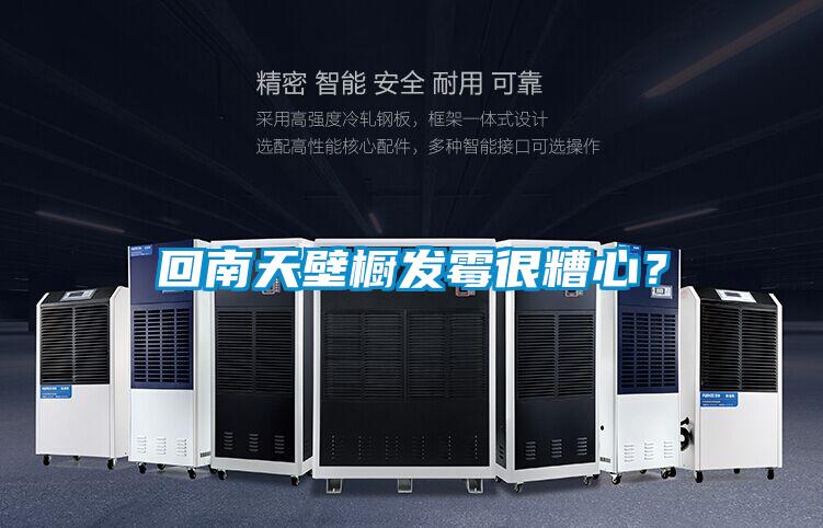 欧美黄色电影在线播放 回南天壁橱发霉很糟心？