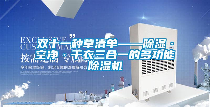 欧美黄色性爱视频网站 双十一种草清单——除湿·空净·干衣三合一的多功能除湿机