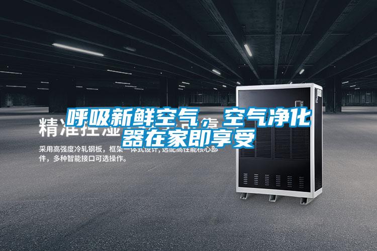 欧美成色手机在线观看 呼吸新鲜空气，空气净化器在家即享受