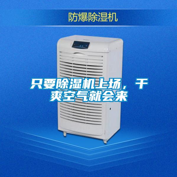 欧美黄色电影在线播放 只要除湿机上场，干爽空气就会来