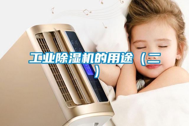 欧美黄色电影在线播放 工业除湿机的用途（二）