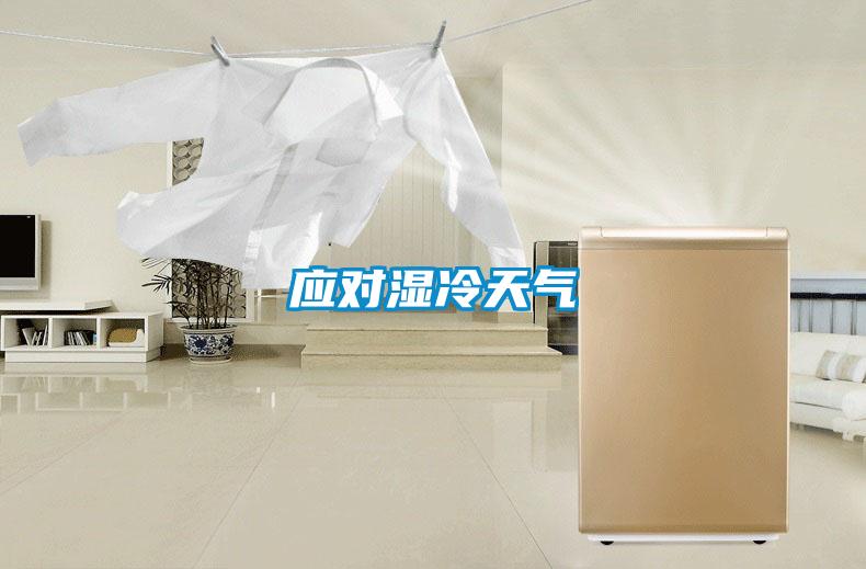 应对湿冷天气