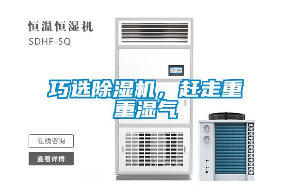 欧美黄色性爱视频网站 巧选除湿机，赶走重重湿气