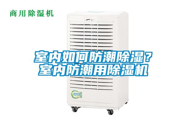欧美成色手机在线观看 室内如何防潮除湿？室内防潮用除湿机