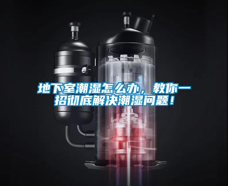 欧美成色手机在线观看 地下室潮湿怎么办，教你一招彻底解决潮湿问题！