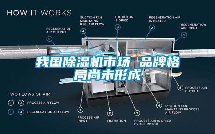 欧美黄色性爱视频网站 我国除湿机市场 品牌格局尚未形成