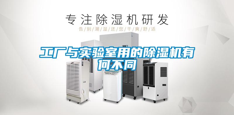 欧美黄色电影在线播放 工厂与实验室用的除湿机有何不同