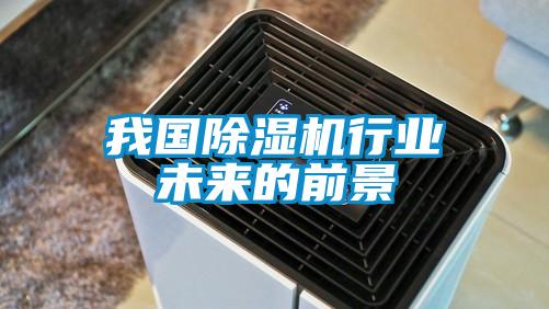 欧美黄色电影在线播放 我国除湿机行业未来的前景