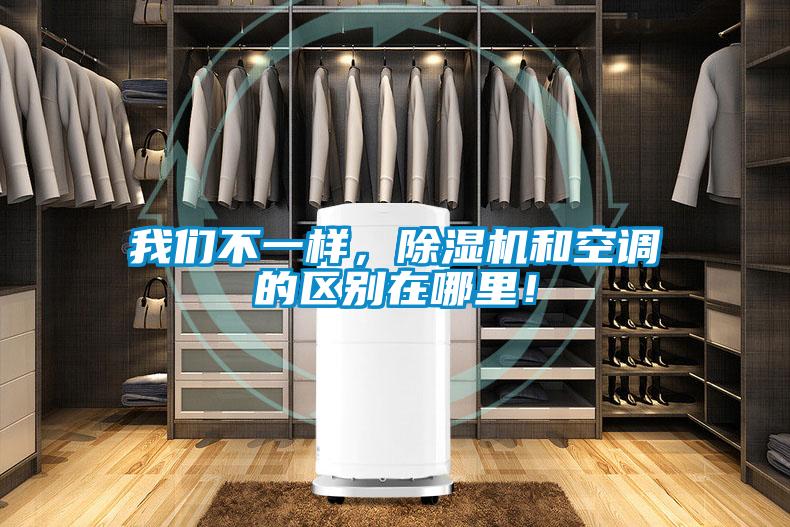 欧美黄色电影在线播放 我们不一样，除湿机和空调的区别在哪里！