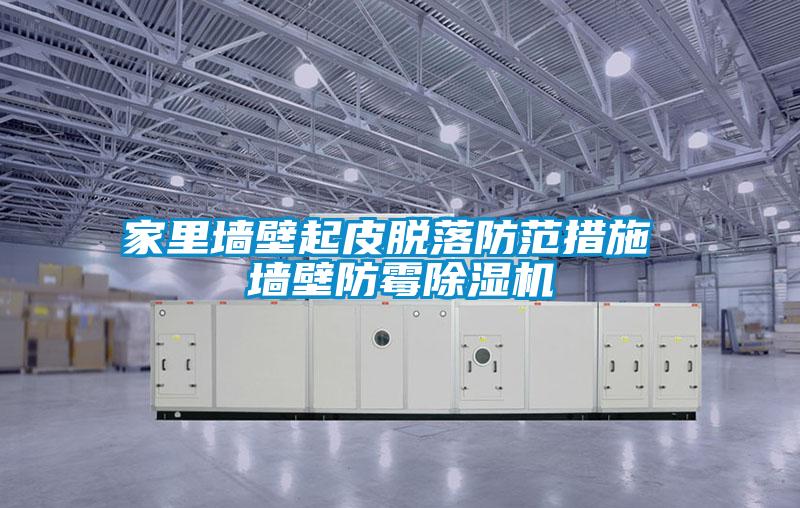 家里墙壁起皮脱落防范措施 墙壁防霉除湿机