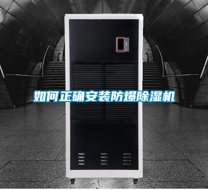 欧美黄色性爱视频网站 如何正确安装防爆除湿机