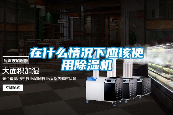 欧美成色手机在线观看 在什么情况下应该使用除湿机