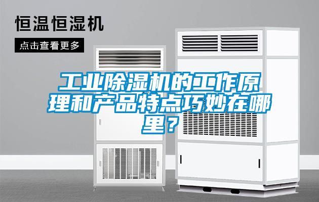 欧美黄色电影在线播放 工业除湿机的工作原理和产品特点巧妙在哪里？