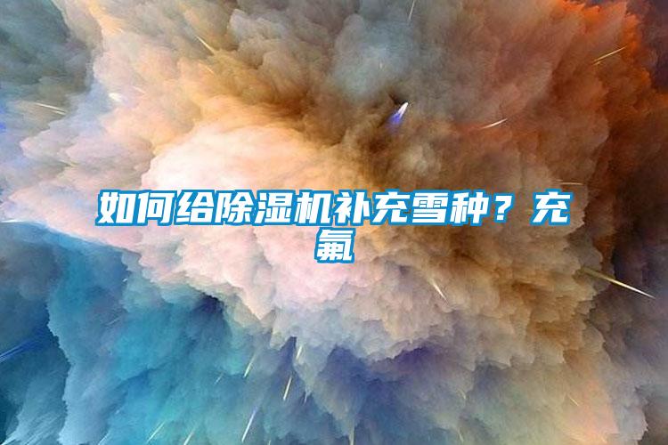 欧美黄色性爱视频网站 如何给除湿机补充雪种？充氟